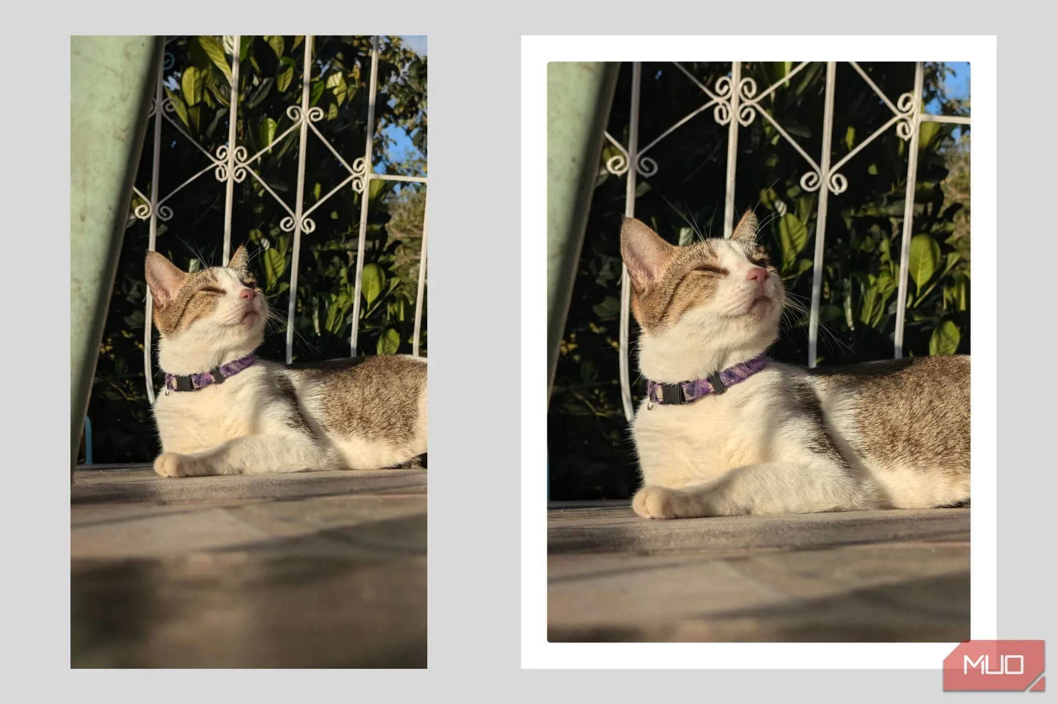 Ảnh chụp tỷ lệ 4:3 với khung viền trắng kiểu Polaroid, gợi nhớ ảnh film cổ điển