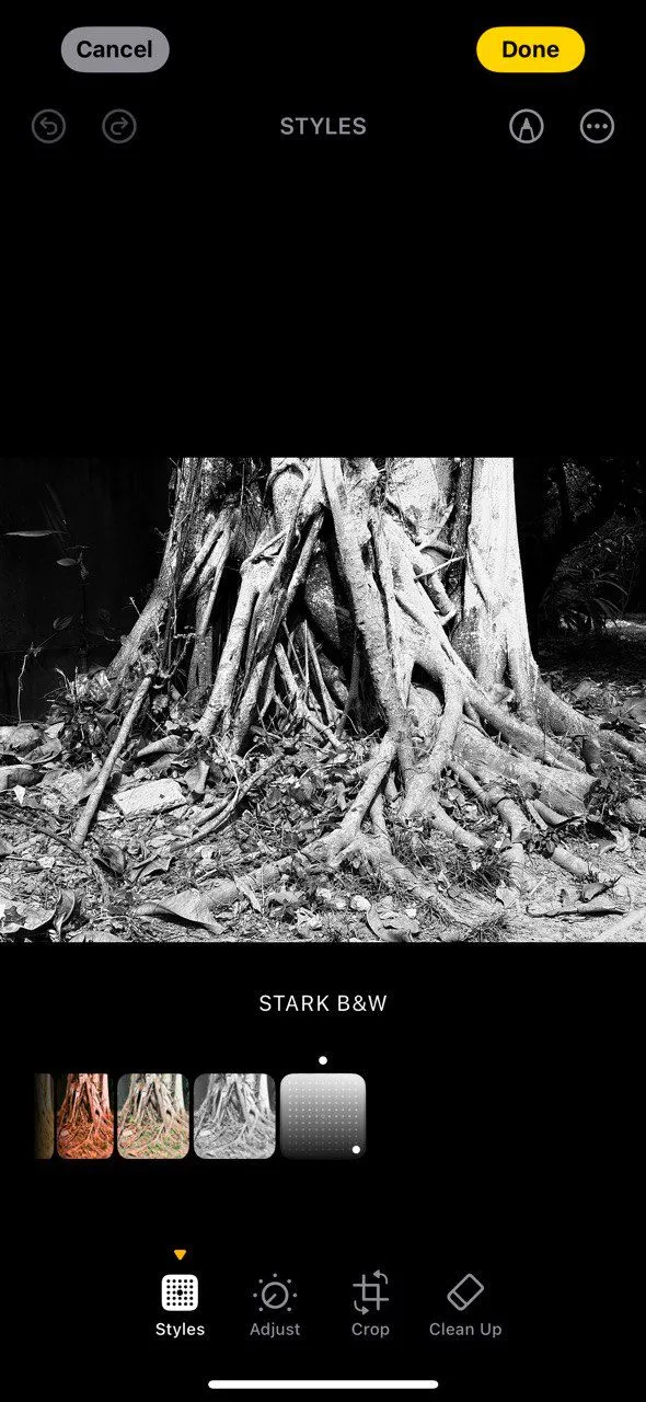 Ảnh đen trắng tương phản cao với phong cách Stark B&amp;W chụp từ iPhone 16, thể hiện rõ bóng đổ và chi tiết