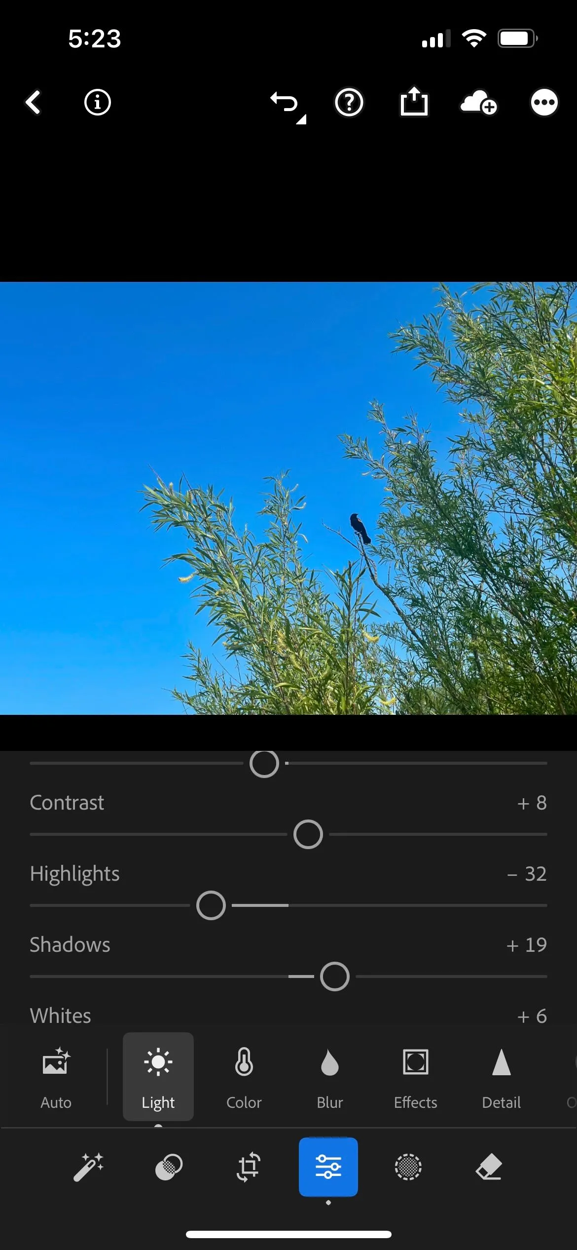 Bảng điều khiển chỉnh sửa phơi sáng cơ bản trong ứng dụng Lightroom Mobile, tối ưu chất lượng ảnh wildlife