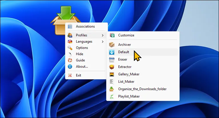 Các tùy chọn của ứng dụng DropIt hiển thị trên màn hình desktop Windows 11, minh họa khả năng sắp xếp và quản lý file.