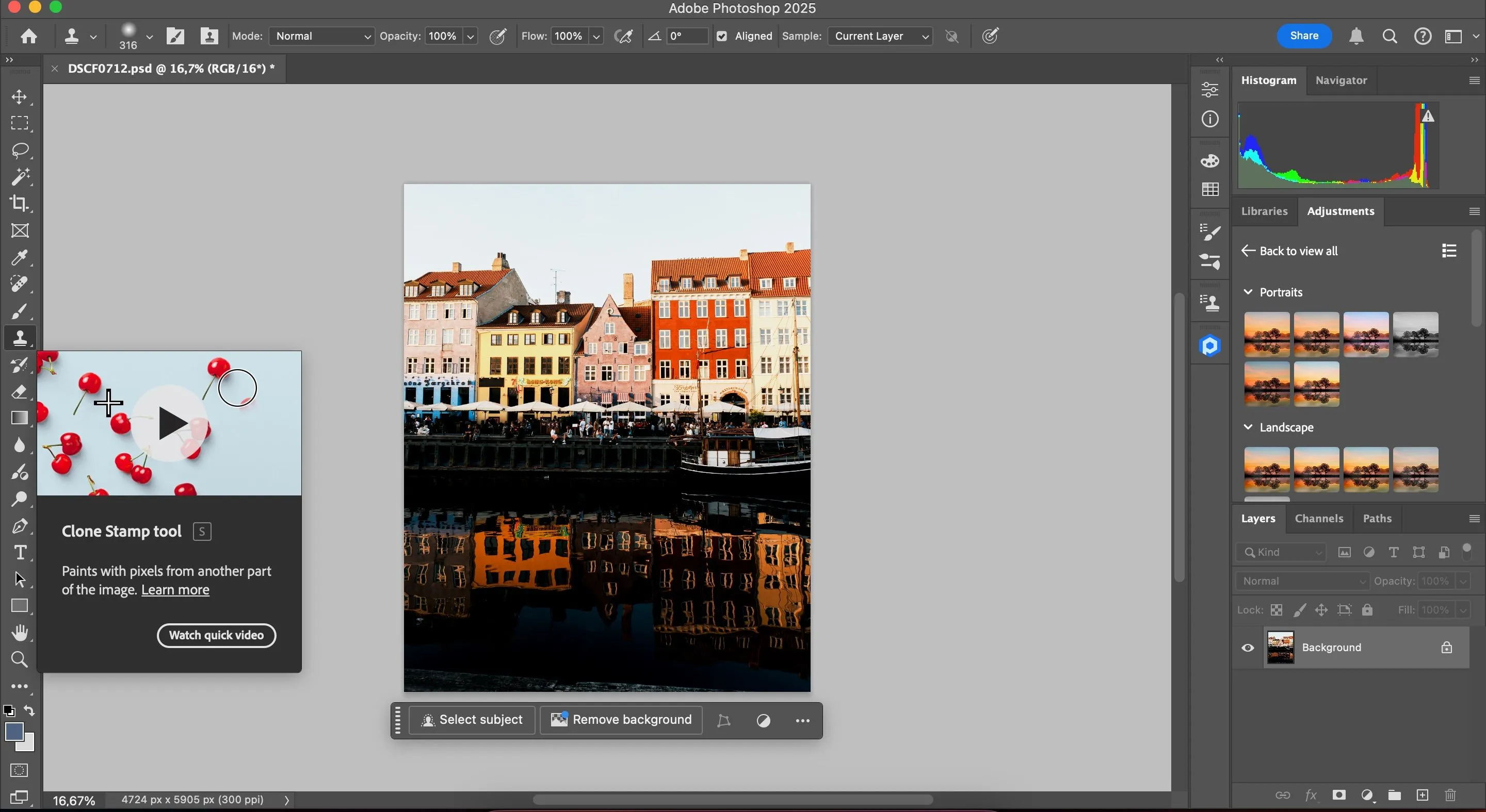Cách dùng công cụ Clone Stamp (Nhân bản) trong Adobe Lightroom để sao chép chi tiết ảnh.
