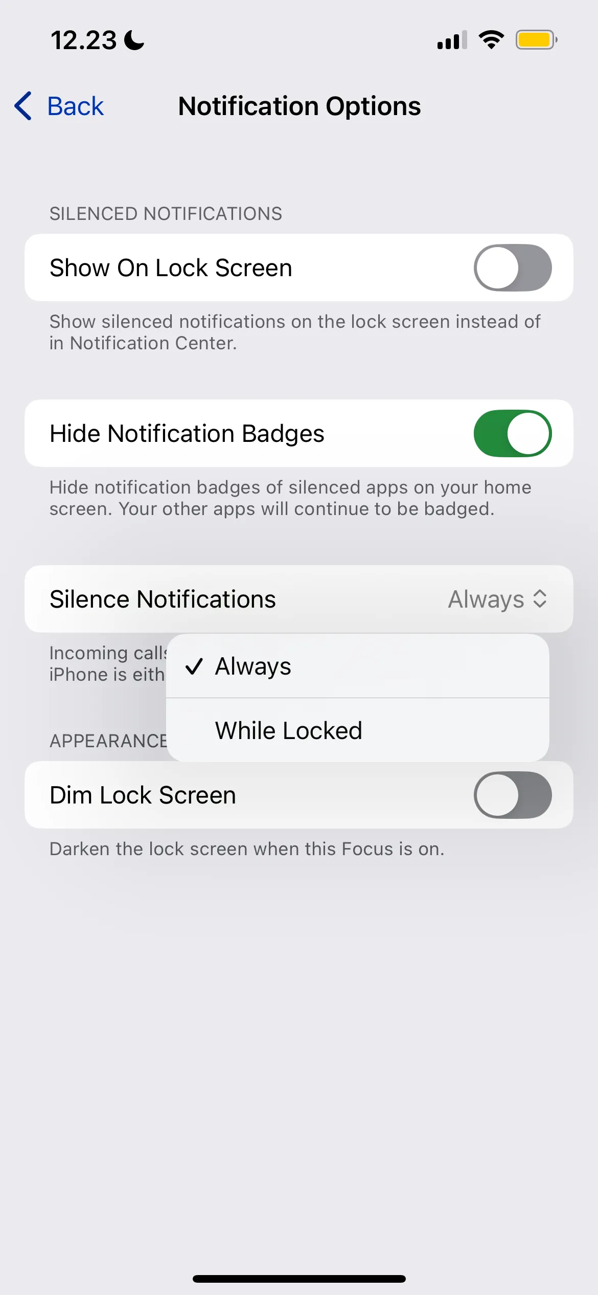 Cài đặt cách bạn muốn tắt thông báo cho ứng dụng trong Chế độ Tập trung iPhone
