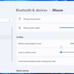Cài đặt cuộn chuột trong Windows 11