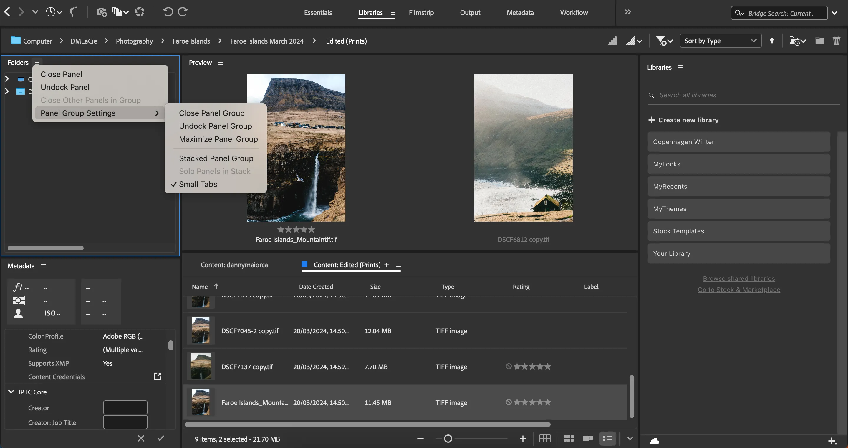 Cài đặt để chỉnh sửa các bảng điều khiển trong Adobe Bridge, giúp tối ưu không gian làm việc