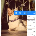 Chỉnh sửa ảnh phi phá hủy trên Snapseed với tính năng hoàn tác