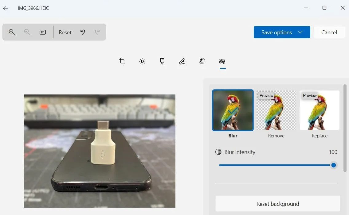 Công cụ chỉnh sửa và xóa nền ảnh trong ứng dụng Photos trên Windows 11