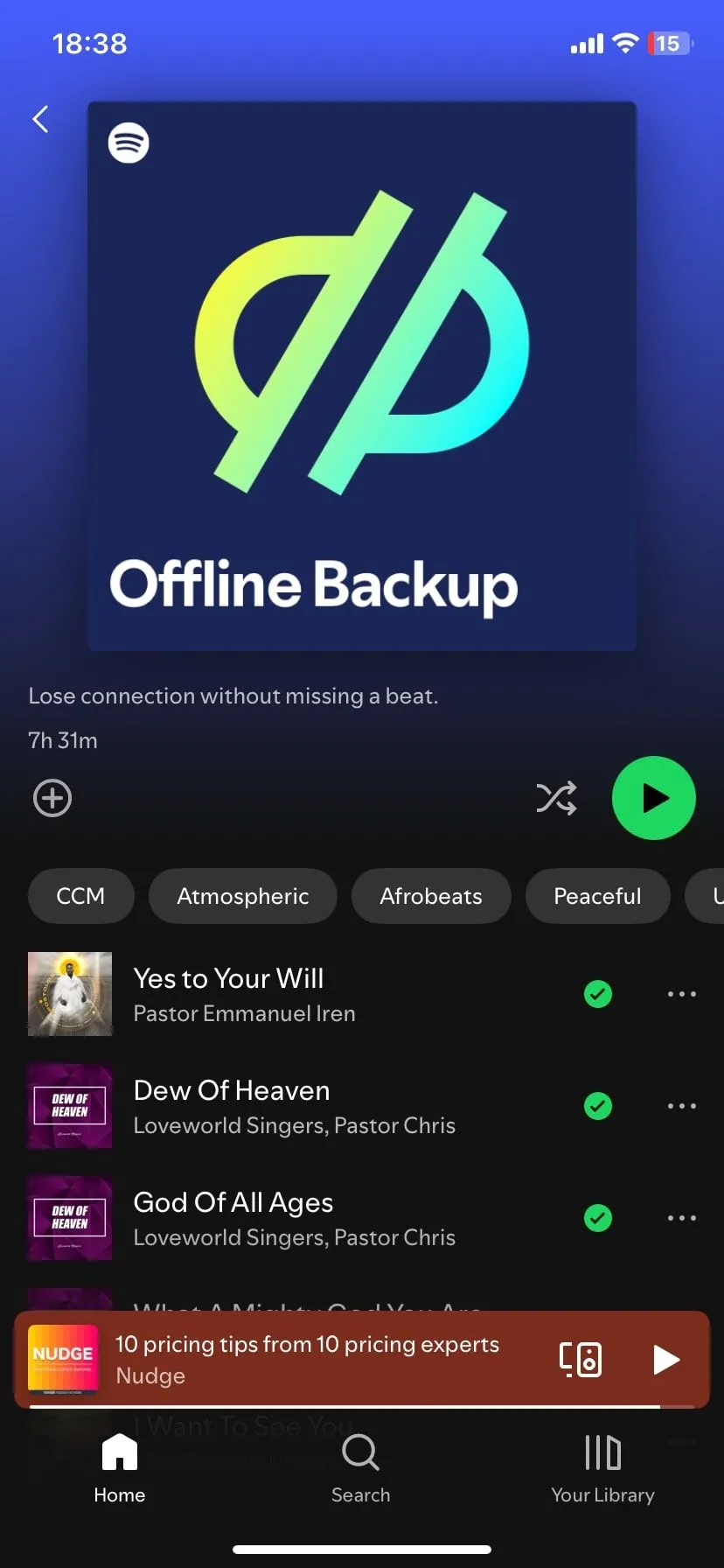Danh sách bài hát đã tải xuống để nghe offline trên Spotify, minh họa tính năng giải trí tiện lợi cho những chuyến đi dài hoặc khi không có kết nối internet, giúp người du lịch solo thư giãn.