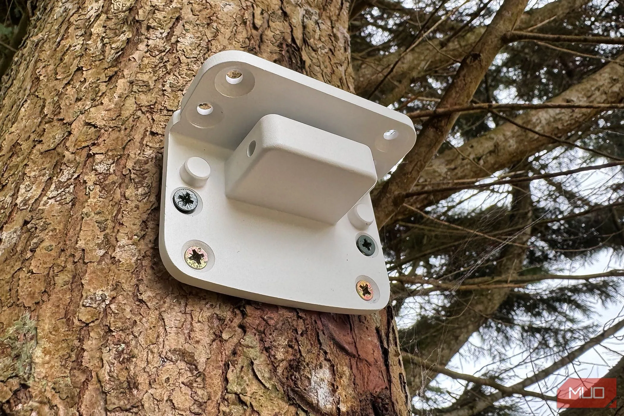 Giá đỡ camera Reolink Atlas PT Ultra được vặn trực tiếp vào thân cây để đảm bảo độ chắc chắn.