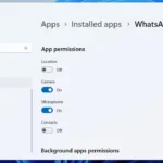 Giao diện cài đặt Windows 11 hiển thị quyền ứng dụng cho WhatsApp