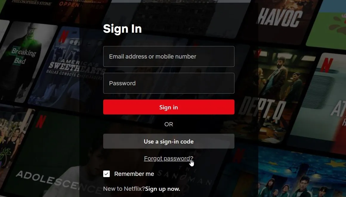 Giao diện đăng nhập Netflix với tùy chọn "Bạn cần trợ giúp?" để khôi phục mật khẩu