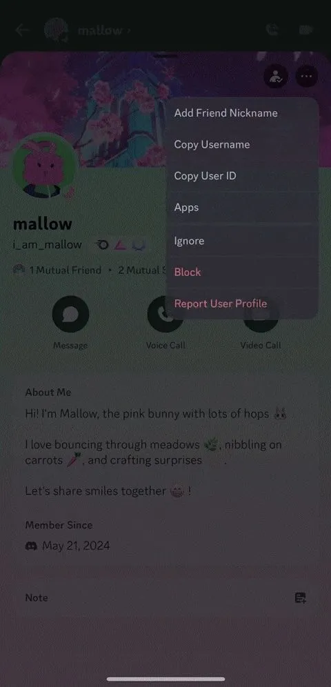 Giao diện Discord hiển thị hồ sơ người dùng để thực hiện thao tác bỏ qua