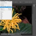 Giao diện Photoshop với Camera Raw Filter được mở