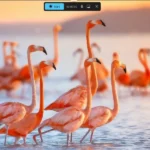 Giao diện tính năng ghi màn hình của Snipping Tool trong Windows 11 với tùy chọn micro và âm thanh hệ thống.