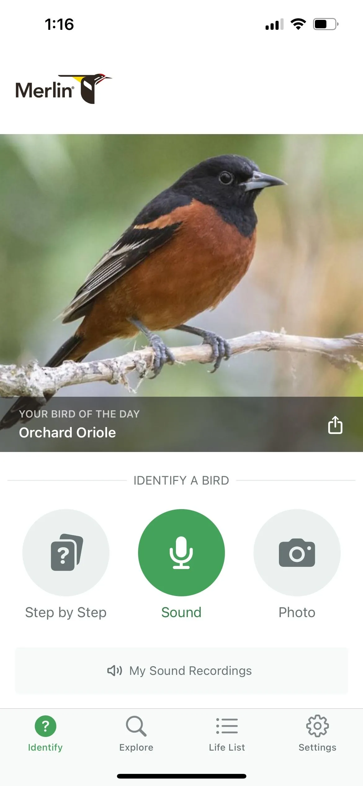 Giao diện ứng dụng Merlin Bird ID đang ghi âm để nhận diện các loài chim xung quanh dựa trên tiếng hót.