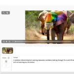 Giao diện ứng dụng web Adobe Firefly hiển thị tính năng tạo video AI từ văn bản với nhiều tùy chọn cài đặt