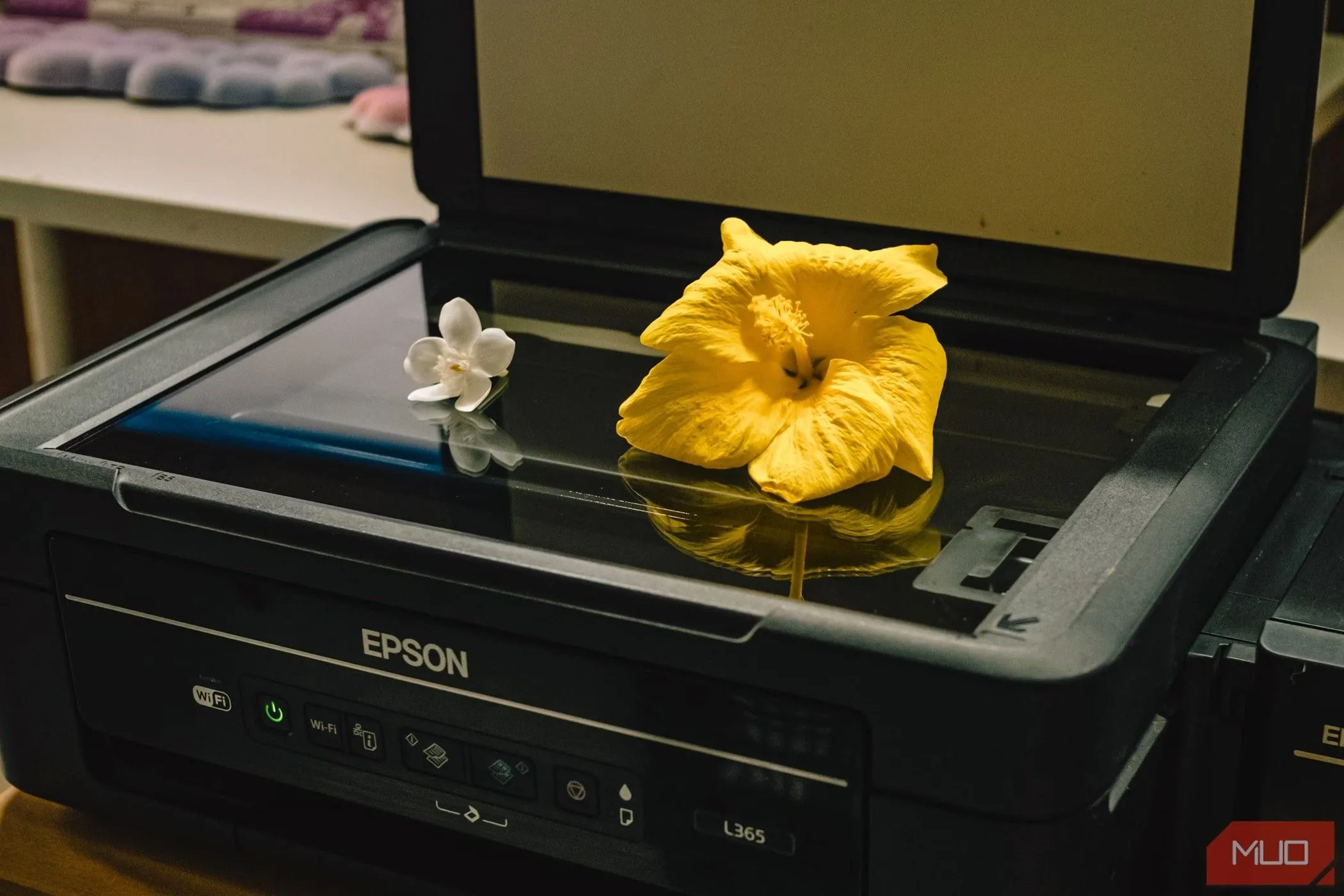 Hoa được đặt trên bề mặt máy scan phẳng đang hoạt động