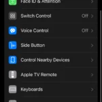 Màn hình Cài đặt Trợ năng (Accessibility) trong ứng dụng Cài đặt iOS.