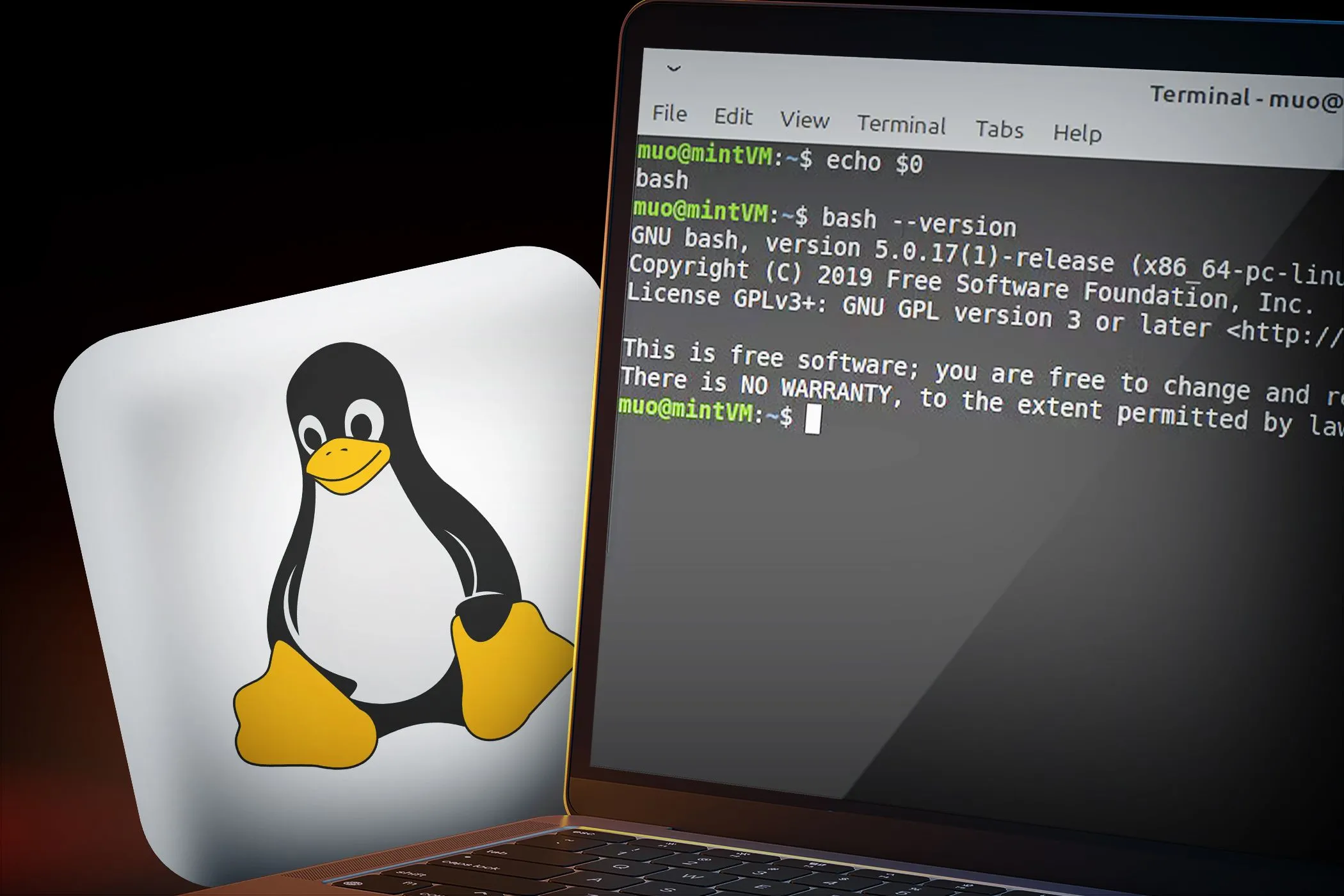 Màn hình laptop hiển thị cửa sổ dòng lệnh (terminal) với các đoạn mã và logo Linux ở nền, biểu tượng cho tính bảo mật và quyền riêng tư của hệ điều hành