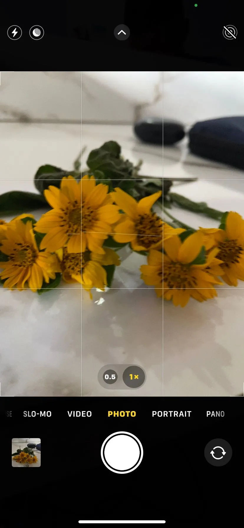 Màn hình ứng dụng camera iPhone hiển thị lưới căn chỉnh giúp cải thiện bố cục