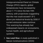 Người dùng tương tác với ChatGPT trên điện thoại thông minh để tìm kiếm dữ liệu chất lượng cao.