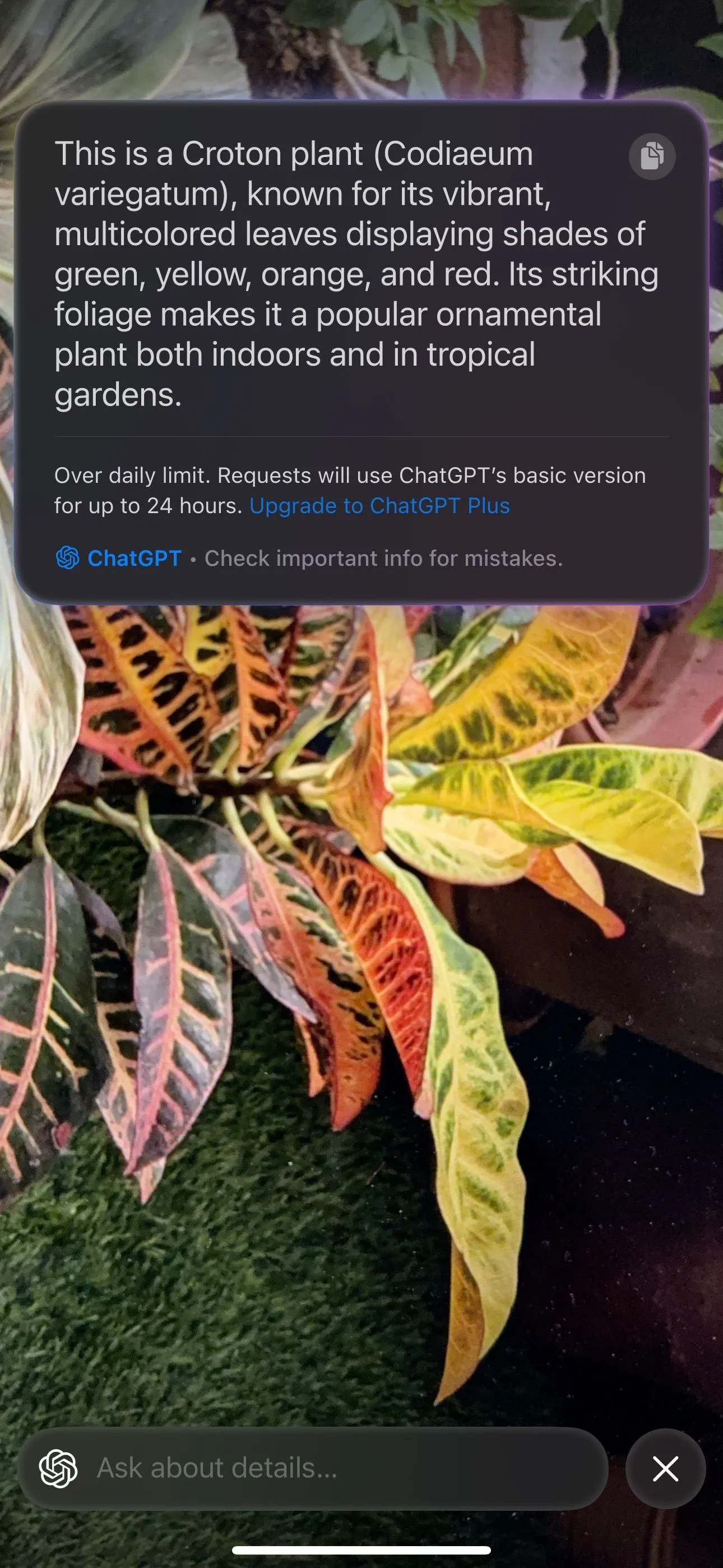 Nhận diện lá cây bằng Visual Intelligence