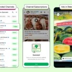 Quảng cáo xuất hiện trong mục Status trên WhatsApp, hiển thị giữa các trạng thái của bạn bè