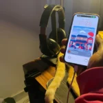Sử dụng iPhone khi đang sạc