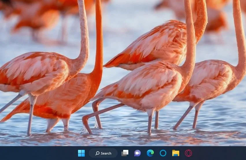 Thanh Taskbar gọn gàng và tùy biến trên hệ điều hành Windows 11