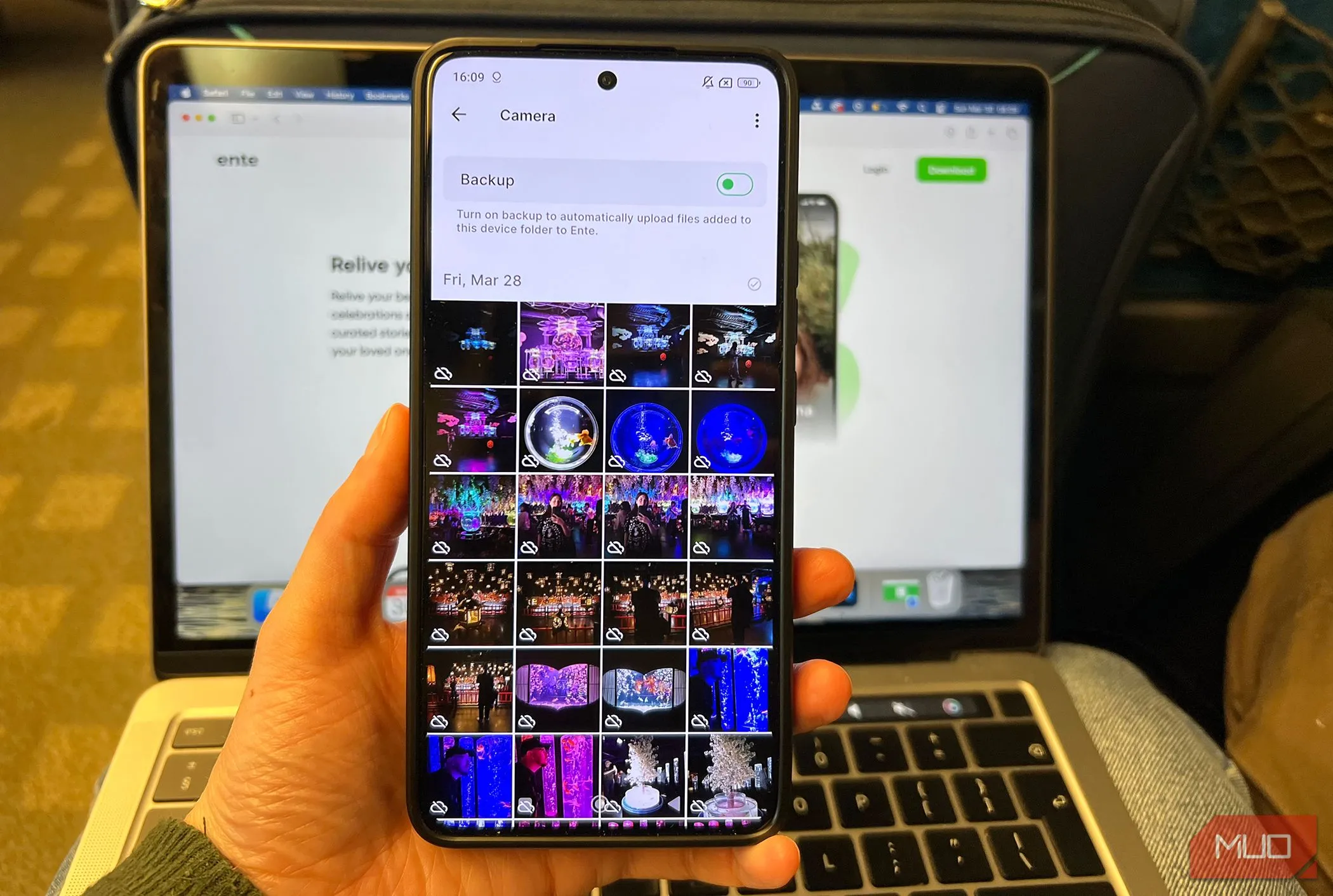 Thư viện ảnh Ente Photos sẵn sàng sao lưu, minh họa tính năng khám phá kỷ niệm