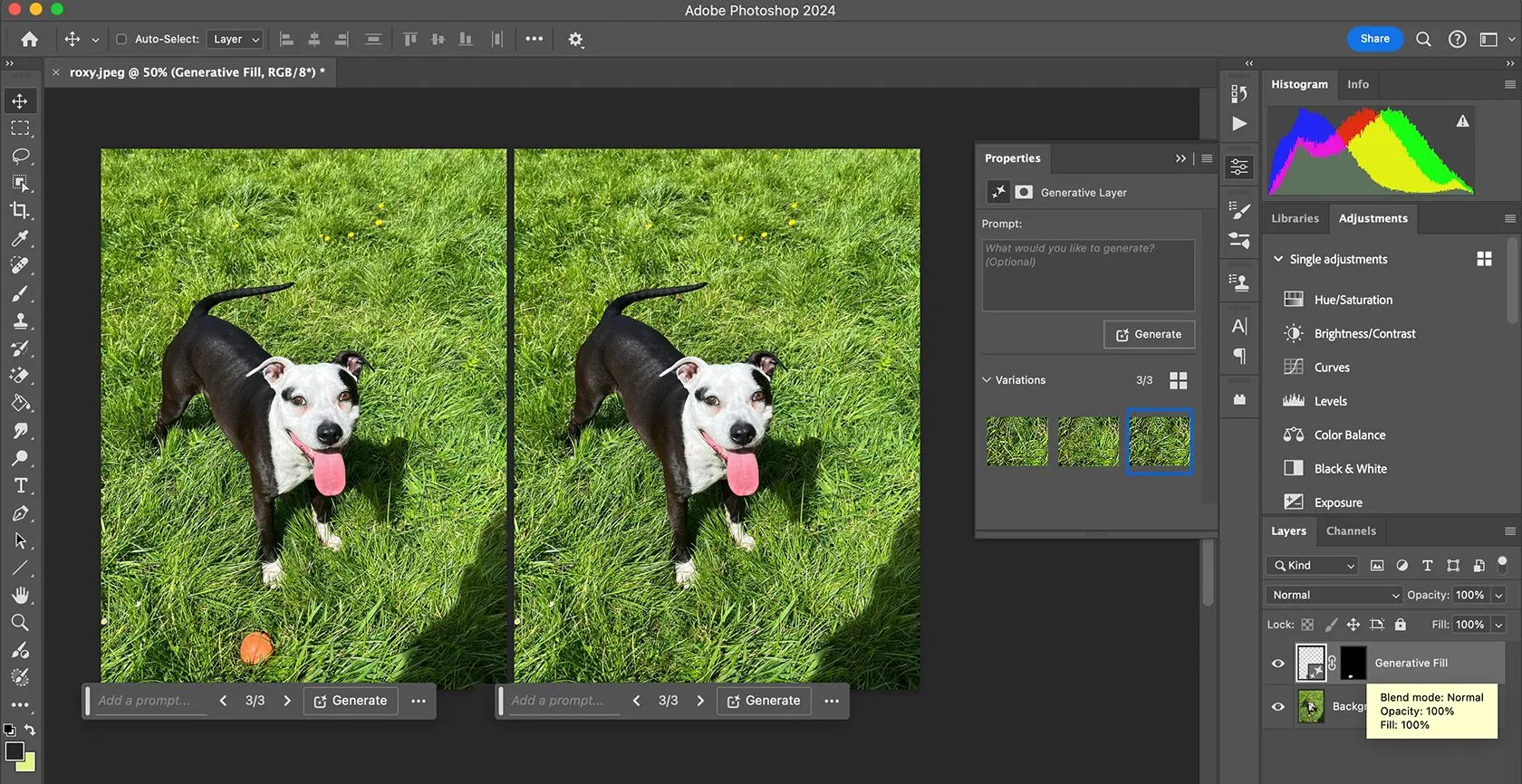 Tính năng Generative Fill ứng dụng trí tuệ nhân tạo trong Photoshop
