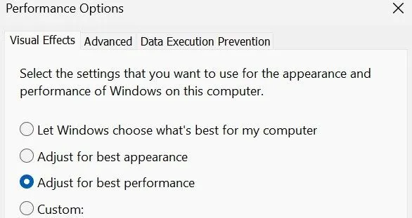 Tùy chỉnh cài đặt hiệu ứng hình ảnh trong cửa sổ tùy chọn hiệu suất của Windows