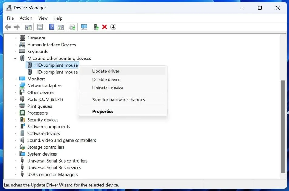 Tùy chọn cập nhật driver chuột trong Device Manager
