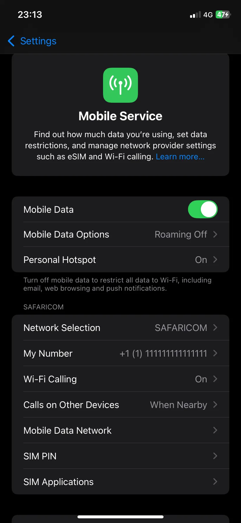 Tùy chọn dữ liệu di động trong ứng dụng Cài đặt iOS để bật chế độ tiết kiệm dữ liệu
