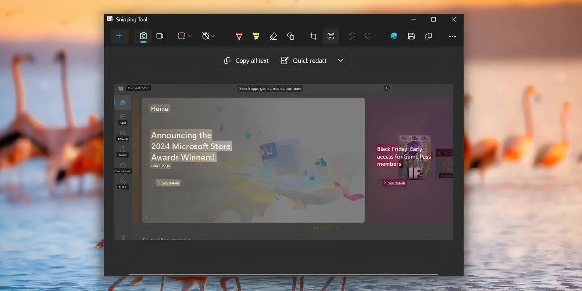 Văn bản được tô sáng hiển thị tính năng Tác vụ văn bản (Text Actions) trong Snipping Tool, cho phép sao chép chữ từ ảnh.